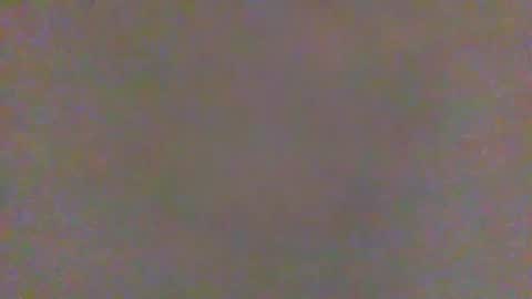 vent699vent699 online show from April 10, 2026, 8:08 am