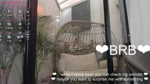 Snapshot of venus_flame chatting on January 19, 2026, 11:36 am VENUS online show from January 19, 2026, 11:36 am