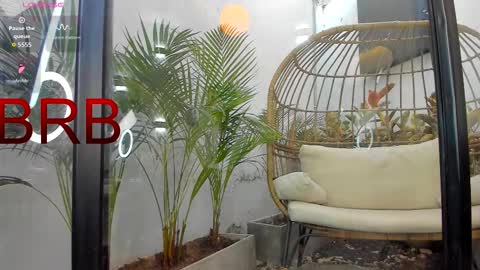 Snapshot of venus_flame chatting on February 1, 2026, 1:20 pm VENUS online show from February 1, 2026, 1:20 pm