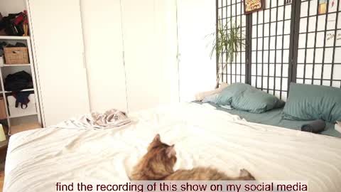 Bella online show from July 28, 2026, 11:17 am