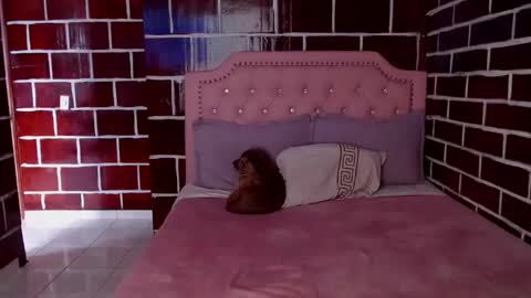 Snapshot of venus_megan chatting on March 8, 2025, 10:34 pm emily independent account MY conextion 1100 GTM to 17hr GTM online show from March 8, 2025, 10:34 pm