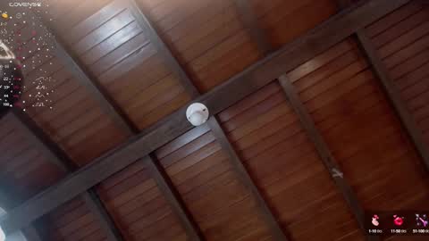 Snapshot of venusevans1 chatting on January 10, 2025, 2:46 am Venus Evans online show from January 10, 2025, 2:46 am