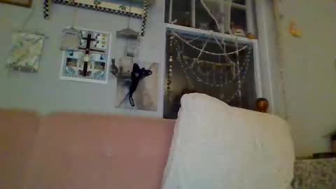 Snapshot of venuskisth chatting on January 9, 2025, 8:13 am venuskisth online show from January 9, 2025, 8:13 am