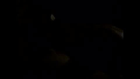 Im DanielVerdo  25 years old Lets have Fun and just ask what wanne know   tnew anal bigock cum  slave  fullnaked online show from June 7, 2026, 2:16 am