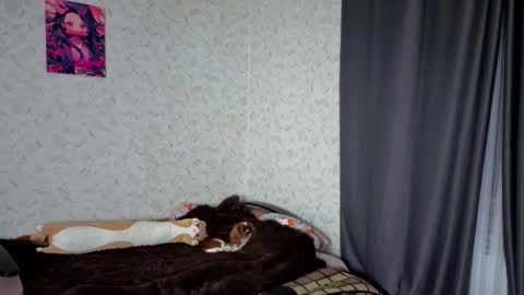 Snapshot of verocat chatting on March 4, 2026, 9:10 pm Veronica online show from March 4, 2026, 9:10 pm