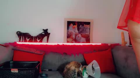 Snapshot of vicky_gill_ chatting on October 14, 2025, 7:03 pm vicky_gill_ online show from October 14, 2025, 7:03 pm