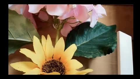 Snapshot of vickyvalencia2 chatting on May 4, 2026, 2:02 pm vickyvalencia2 online show from May 4, 2026, 2:02 pm