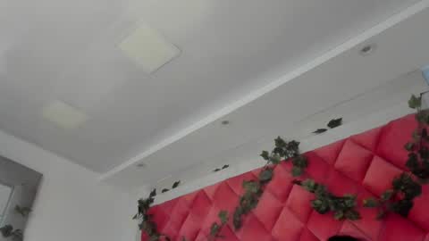 Snapshot of victoriawills_ chatting on March 12, 2025, 11:44 pm ADRIANA online show from March 12, 2025, 11:44 pm