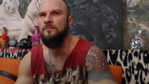 viking online show from January 1, 2025, 8:04 pm