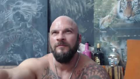 viking online show from September 15, 2025, 6:41 pm