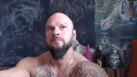 viking online show from November 7, 2025, 10:26 am