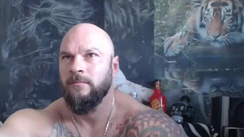 Snapshot of viking_me chatting on April 20, 2026, 6:16 am viking online show from April 20, 2026, 6:16 am