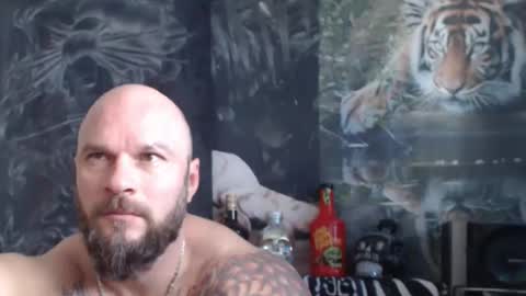 Snapshot of viking_me chatting on April 22, 2026, 6:38 am viking online show from April 22, 2026, 6:38 am
