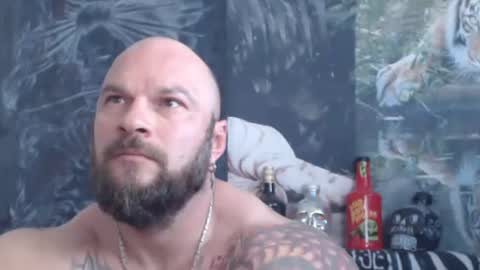 Snapshot of viking_me chatting on May 31, 2026, 6:31 am viking online show from May 31, 2026, 6:31 am
