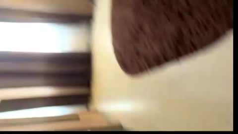 Snapshot of viktoriya_kreyzi chatting on May 31, 2026, 3:41 pm viktoriya_kreyzi online show from May 31, 2026, 3:41 pm