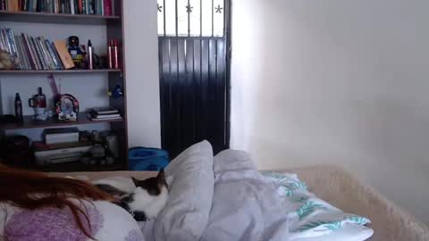 Violeta Peter online show from February 23, 2025, 8:33 pm