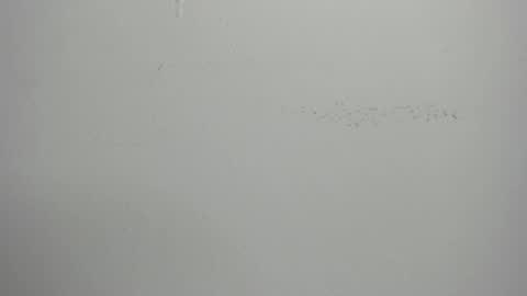 Snapshot of violett_24_ chatting on March 1, 2025, 11:39 am violett_24_ online show from March 1, 2025, 11:39 am