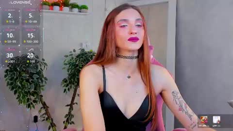 Virdjinia online show from July 26, 2026, 9:49 am
