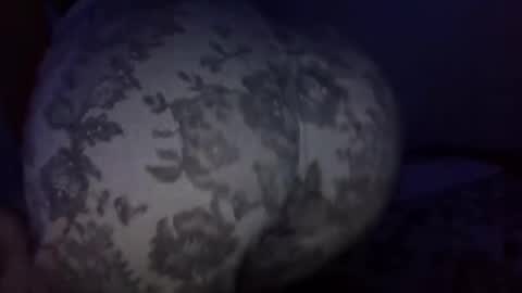 Snapshot of vkitty01 chatting on March 31, 2026, 2:57 am vkitty01 online show from March 31, 2026, 2:57 am