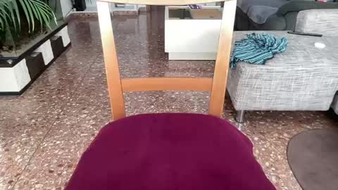 playtoguetherlove online show from April 15, 2026, 8:10 am