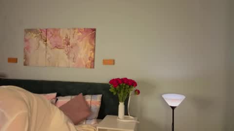 Snapshot of vonen_ray chatting on May 27, 2026, 9:50 am Vonen online show from May 27, 2026, 9:50 am