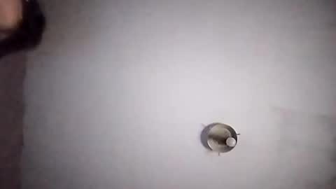 vujadetr online show from September 20, 2025, 7:42 am