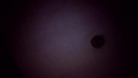 vujadetr online show from February 21, 2026, 8:04 am