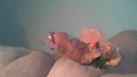 vukavuka99 online show from October 26, 2025, 9:53 pm