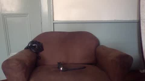 Snapshot of w988358 chatting on May 23, 2026, 4:33 pm w111111 online show from May 23, 2026, 4:33 pm