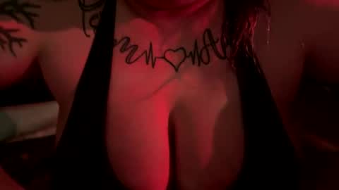 WildVagabonds online show from November 29, 2025, 6:49 am