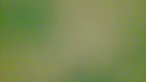 Snapshot of watchplaycum chatting on October 8, 2025, 11:24 pm watchplaycum online show from October 8, 2025, 11:24 pm