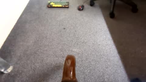 waterd4wg online show from April 19, 2026, 6:10 pm