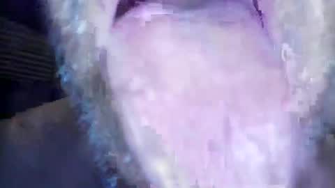 wayne1311 online show from March 1, 2026, 7:21 am