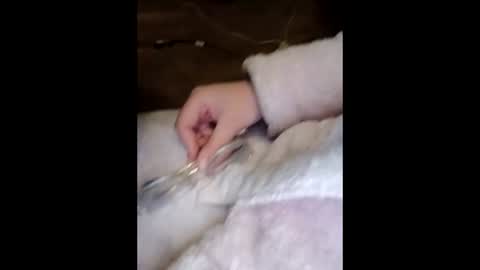 Marina online show from March 23, 2026, 10:03 pm