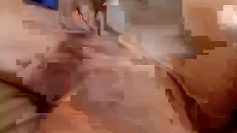 welldny online show from October 25, 2025, 4:46 pm