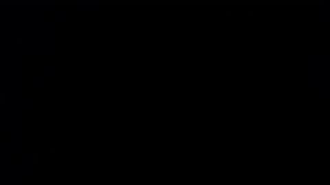 wellingtont online show from September 25, 2025, 3:43 am