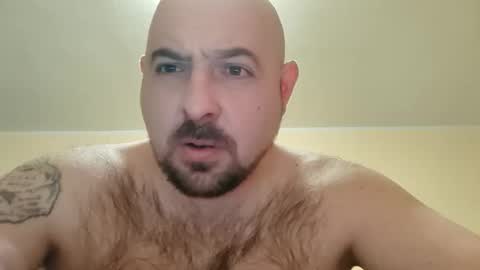 Snapshot of werewolfalfa1 chatting on November 23, 2025, 5:24 pm AlphaStars online show from November 23, 2025, 5:24 pm