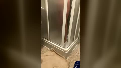 wet___pussy online show from July 6, 2026, 9:39 am