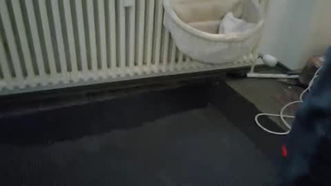 Wetgerman online show from March 11, 2025, 3:45 pm