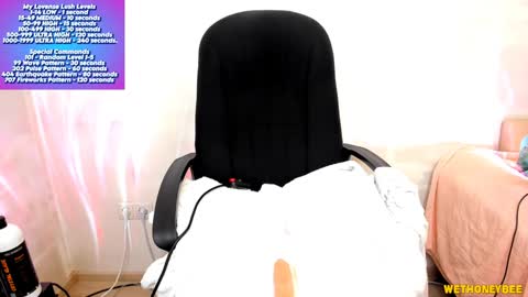 Snapshot of wethoneybee chatting on February 3, 2025, 2:03 am Mina online show from February 3, 2025, 2:03 am