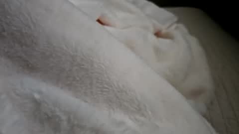 what_whaaat online show from September 21, 2025, 5:03 pm