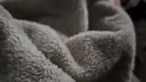 what_whaaat online show from November 2, 2025, 9:11 am