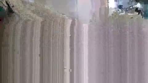 what_whaaat online show from November 9, 2025, 6:17 pm