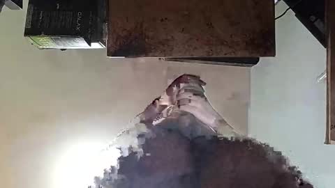 whatsexo online show from September 19, 2025, 7:10 am