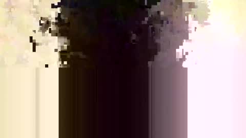 Snapshot of whitedood432 chatting on November 28, 2025, 12:19 pm whitedood432 online show from November 28, 2025, 12:19 pm