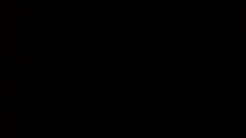 Snapshot of whitehead_lion chatting on February 24, 2025, 6:05 am whitehead_lion online show from February 24, 2025, 6:05 am