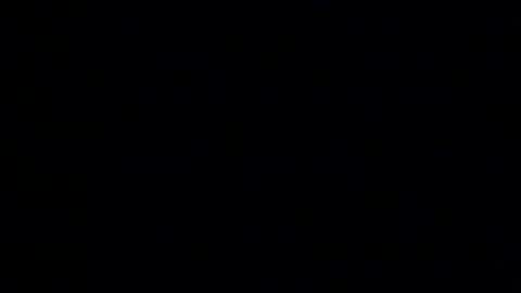 Snapshot of whitehead_lion chatting on January 14, 2026, 6:13 pm whitehead_lion online show from January 14, 2026, 6:13 pm