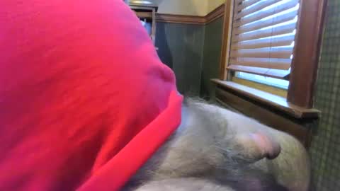 whydog online show from January 4, 2025, 10:24 pm