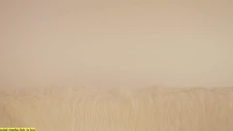 Snapshot of wild_schoolgirl chatting on January 18, 2025, 9:45 pm wild_schoolgirl online show from January 18, 2025, 9:45 pm