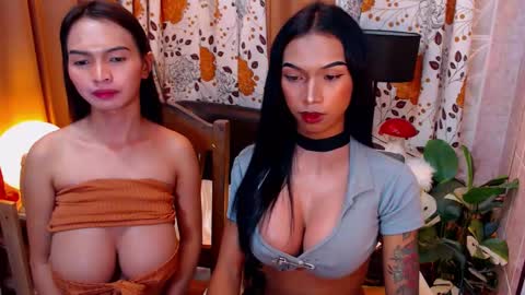 wildara online show from February 8, 2025, 2:26 am